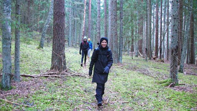 Wunderers hiking in a forest