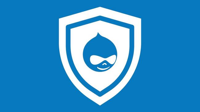 Drupal Security logo