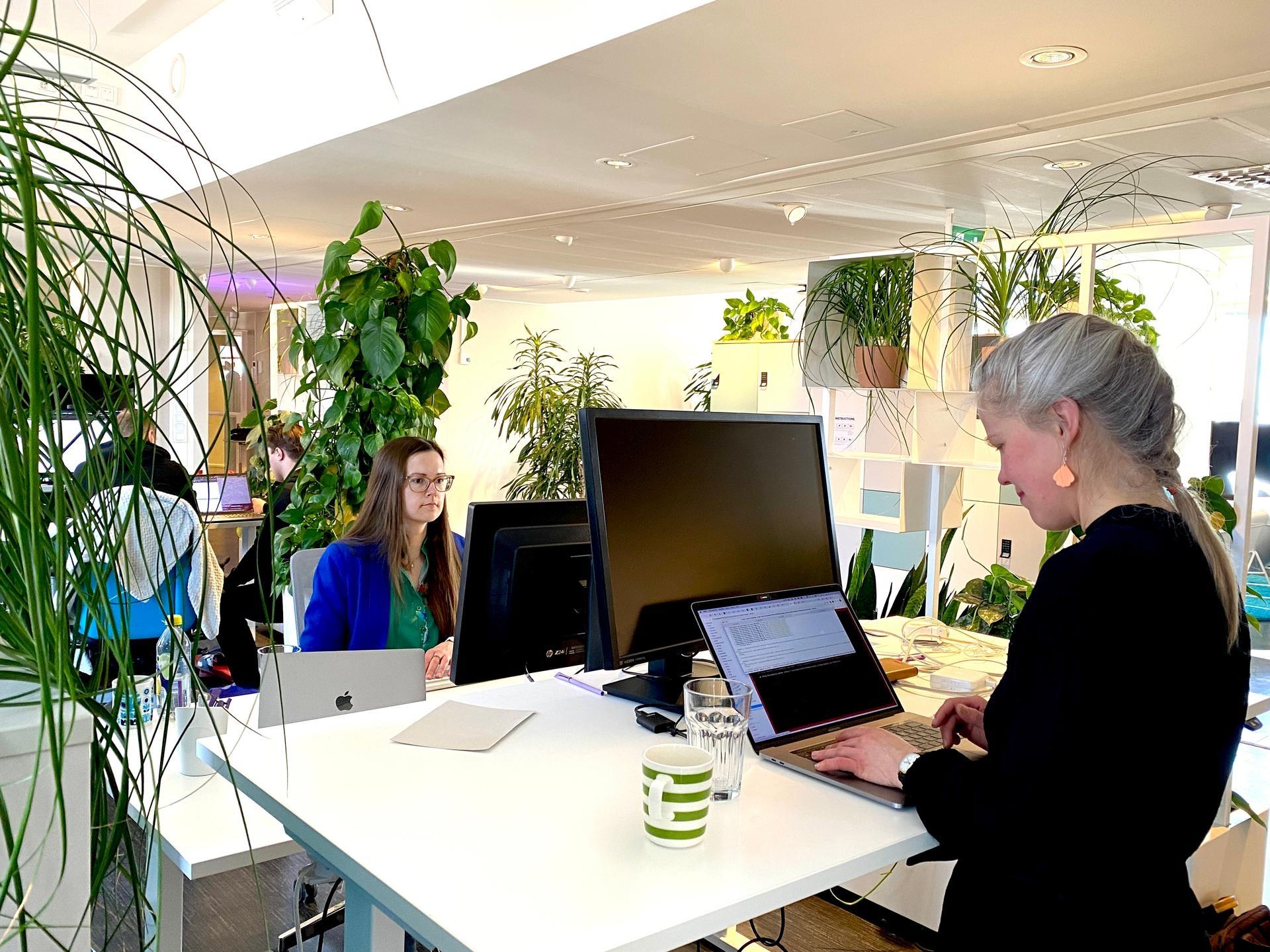 Wunderers working at the Helsinki office