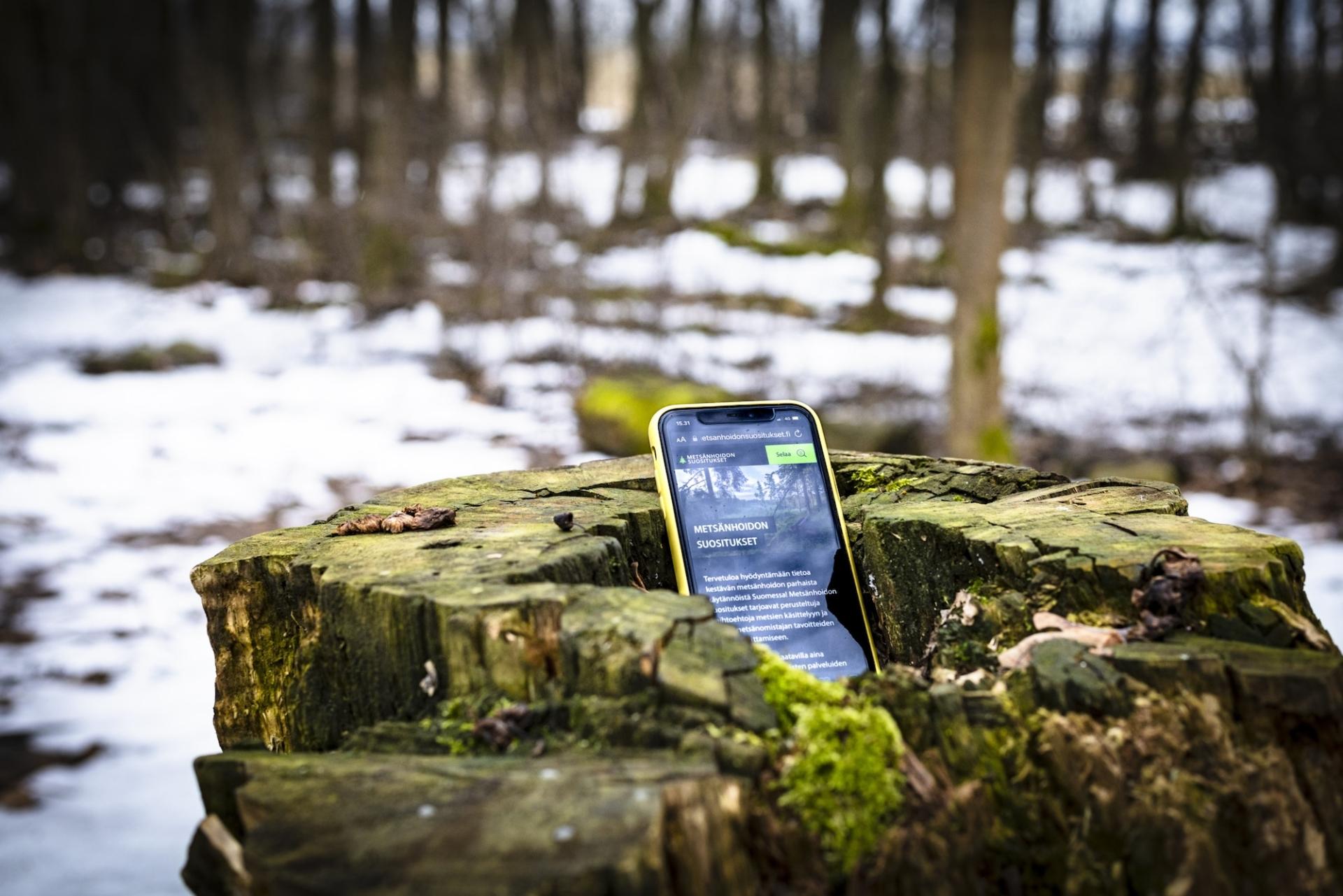 The phone is on a tree stump in the winter forest